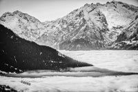 La muzelle et les oeufs