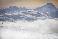 La muzelle en hiver.