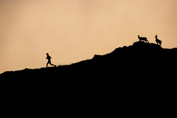 photo sport montagne : L'homme ou l'animal.