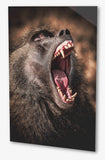 Le babouin du kenya photo animaux.