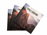 Best of Trail Cyrille quintard : Le livre dédicacé - Photos de montagne : Cyrille quintard