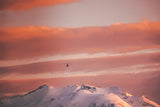 La vie en rose (Photographie couleur) - Cyrille Quintard Photography : Tableau photo de montagne