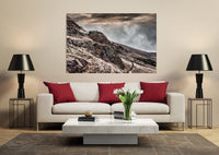 Le chamois de l'Oisans- photo de montagne - Cyrille Quintard Photography : Tableau photo de montagne