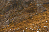 Tableau photo de montagne : Le troupeau orangé - Cyrille Quintard Photography : Tableau photo de montagne