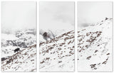 Tableau photo de montagne : Les moutons de L'oisans - Cyrille Quintard Photography : Tableau photo de montagne