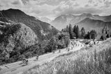 Tableau photo sport cyclisme : La montée de l'Alpe d'Huez - Cyrille Quintard Photography : Tableau photo de montagne
